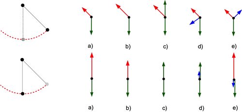 Which diagrams gives the best representation of the forces in a swing?
